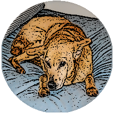 Shadowrun Core Rules